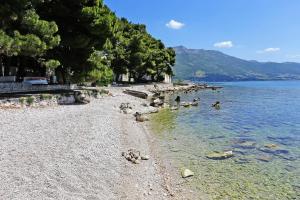 Apartments with a swimming pool Orebic, Peljesac - 10166 في أوربيك: مجموعة من البط في الماء على شاطئ