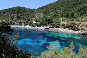 Zdjęcie z galerii obiektu Secluded fisherman's cottage Cove Bacva, Korcula - 9475 w Korčuli