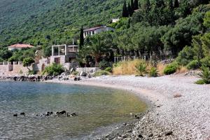 a group of ducks swimming in a body of water at Apartments and rooms by the sea Trpanj, Peljesac - 258 in Trpanj