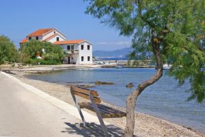 eine Bank neben einem Baum neben einem Wasserkörper in der Unterkunft Apartments by the sea Sreser, Peljesac - 10227 in Janjina