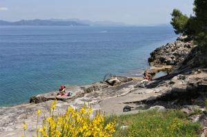 Fotografia z galérie ubytovania Apartments with a parking space Trpanj, Peljesac - 10046 v destinácii Trpanj
