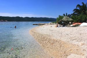 庫奇施泰的住宿－Apartments with a parking space Kuciste - Perna, Peljesac - 10161，海滩上有人在水中游泳