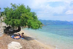 Fotografie z fotogalerie ubytování Apartments by the sea Orebic, Peljesac - 10153 v destinaci Orebić