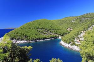 Fotografia z galérie ubytovania Secluded fisherman's cottage Cove Bratinja Luka, Korcula - 11653 na Korčuli