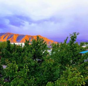 an orange mountain with trees in front of it at Nurgul in Bokonbayevo