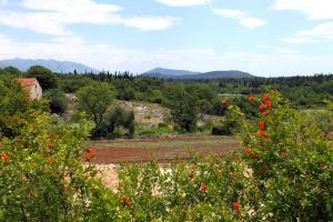 um campo de flores com montanhas ao fundo em Apartments with a parking space Mocici, Dubrovnik - 12856 em Cilipi