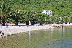 a person walking on a beach with palm trees at Secluded house with a parking space Trpanj, Peljesac - 13059 in Trpanj