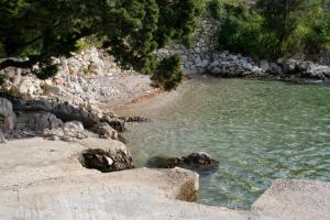 Fotografie z fotogalerie ubytování Apartments by the sea Brna, Korcula - 13618 v destinaci Smokvica