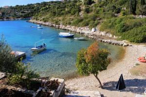 Fotografia z galérie ubytovania Family friendly house with a swimming pool Cove Stratincica, Korcula - 14472 v destinácii Vela Luka