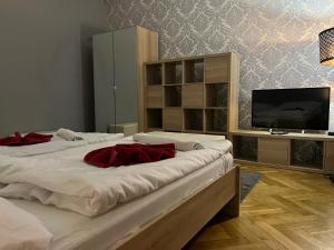 two beds in a room with a tv at GLOBE Hostel Prague ADULTS ONLY in Prague