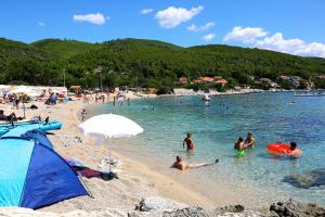 Fotografie z fotogalerie ubytování Apartments by the sea Prizba, Korcula - 16268 v destinaci Prizba