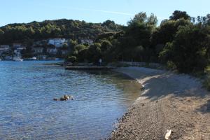 Fotografia z galérie ubytovania Apartments with WiFi Zrnovo, Korcula - 16254 na Korčuli
