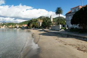 einen Strand mit Gebäuden und Palmen neben dem Wasser in der Unterkunft Rooms with WiFi Lopud, Elafiti - 2169 in Lopud Island