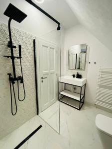 een badkamer met een douche, een wastafel en een spiegel bij Casa Boierului Comanici 