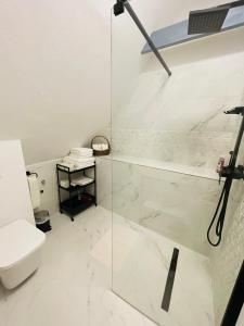 een badkamer met een glazen douche en een toilet bij Casa Boierului Comanici 
