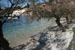 Fotografie z fotogalerie ubytování Apartments by the sea Racisce, Korcula - 4361 v destinaci Račišće