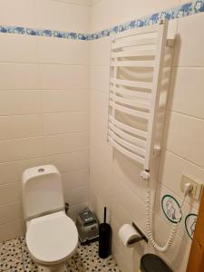 mała łazienka z toaletą i telefonem w obiekcie Atostogų namelis-pirtis Prie upės w mieście Onikszty