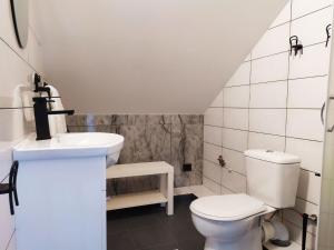 a bathroom with a toilet and a sink at "Trakaitis" apartments & holiday homes in Trakai