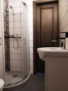 y baño con lavabo, ducha y aseo. en "Trakaitis" apartments & holiday homes, en Trakai