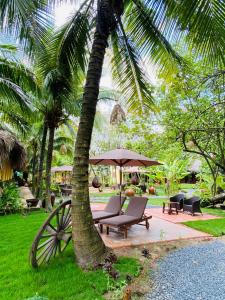 a palm tree with a bench and an umbrella at Mango Home Riverside in Ben Tre