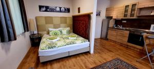 A kitchen or kitchenette at Sofia Apartment Kázmér