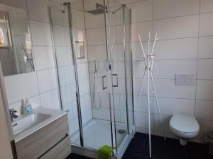 a bathroom with a shower and a toilet and a sink at Ferienwohnungen Donaumoos in Günzburg