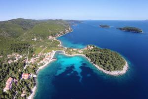 - une vue aérienne sur une île dans l'océan dans l'établissement Apartments by the sea Prizba, Korcula - 16900, à Prižba