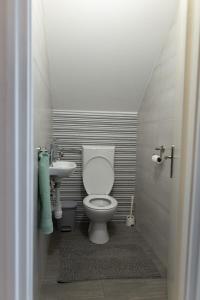 un bagno con un water e un lavandino di Olivér 22 Apartman a Fonyód