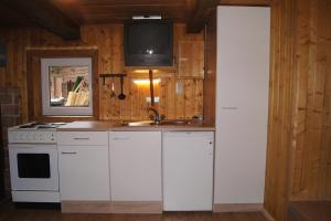 Kuchyň nebo kuchyňský kout v ubytování Ferienhütten Brandtner