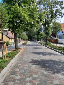 una strada in mattoni con alberi su entrambi i lati di Amber House a Danzica