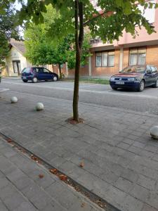 Okolí apartmánu