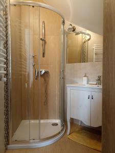 ein Bad mit einer Dusche und einem Waschbecken in der Unterkunft Dom Dobre Miejsce in Zawoja