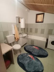 ein Badezimmer mit einem WC, einem Waschbecken und einer Waschmaschine in der Unterkunft Holiday House Trnovac in Trnovdc