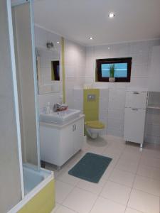 a bathroom with a sink and a toilet and a tv at Mazurska Piwniczka in Giżycko