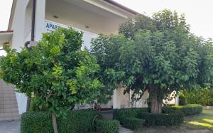 Fotografie z fotogalerie ubytování Holiday S&M v destinaci Lopar