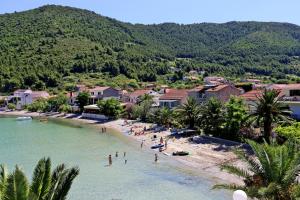 un groupe de personnes sur une plage dans l'eau dans l'établissement Studio Zuljana 4576b, à Žuljana