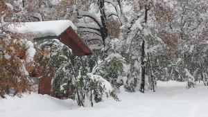 Cabanas Roble Quemado en invierno
