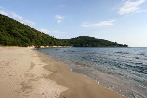 Maranovići的住宿－Apartments by the sea Cove Saplunara, Mljet - 4896，一片种满树木的沙滩和大海
