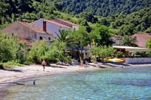 un grupo de personas en una playa cerca de un cuerpo de agua en Apartment Zuljana 4576a en Žuljana