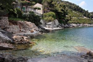 a view of a body of water with houses on the shore at Apartments by the sea Sobra, Mljet - 7531 in Sobra