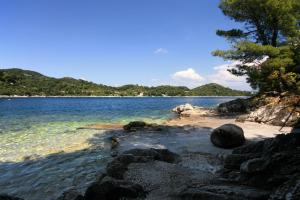 a beach with some rocks and water and trees at Apartments by the sea Sobra, Mljet - 7531 in Sobra