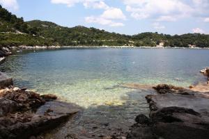 a view of a large body of water at Apartments by the sea Sobra, Mljet - 7531 in Sobra