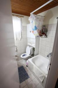 a bathroom with a toilet and a bath tub at Alexia's House in Leptokarya