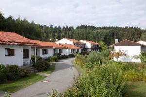 una fila de casas en una calle con árboles en Ferienpark im schönen Falkenstein 6 en Falkenstein