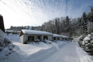 una casa cubierta de nieve en un patio en Ferienpark im schönen Falkenstein 6 en Falkenstein