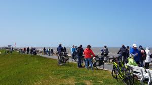un grupo de personas de pie cerca de la playa con sus bicicletas en Ferienpark im schönen Falkenstein 3, en Falkenstein