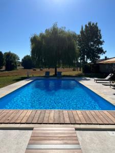 Country villa for 19 pool cinema football pitch في Verteillac: مسبح وسطح خشبي وشجرة