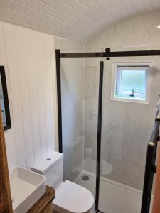 a bathroom with a shower and a toilet and a sink at Rusty - Shepherds hut sleeps up to 4 in Sidlesham
