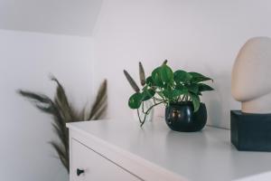 Fotografie z fotogalerie ubytování Kardamom Studio Apartman v destinaci Szigliget