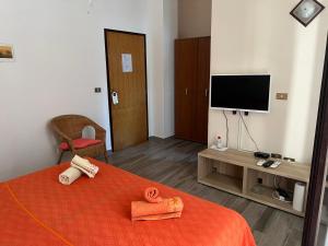a room with a bed with a television and a chair at Draga Rooms in Njivice